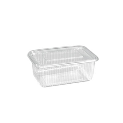 Transparent PET Plastic Boxes with Hinged Attached Lid – Organize Items Easily (1250ML, 750ML, 500ML, 375ML, 250ML)