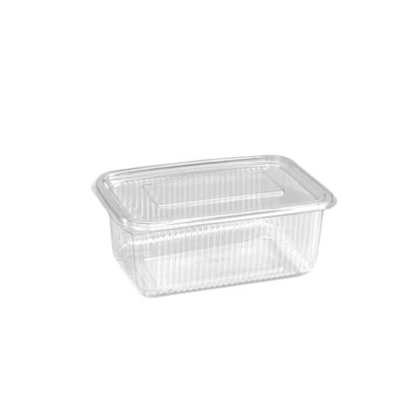 Transparent PET Plastic Boxes with Hinged Attached Lid - Organize Items Easily (1250ML, 750ML, 500ML, 375ML, 250ML)