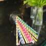 10mm Colorful Straws - Vibrant 50-Piece Packet | Shop Colored Straws