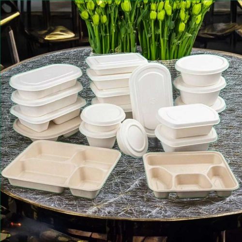 Biodegradable Items: Eco-Friendly Box and Tray Solutions.